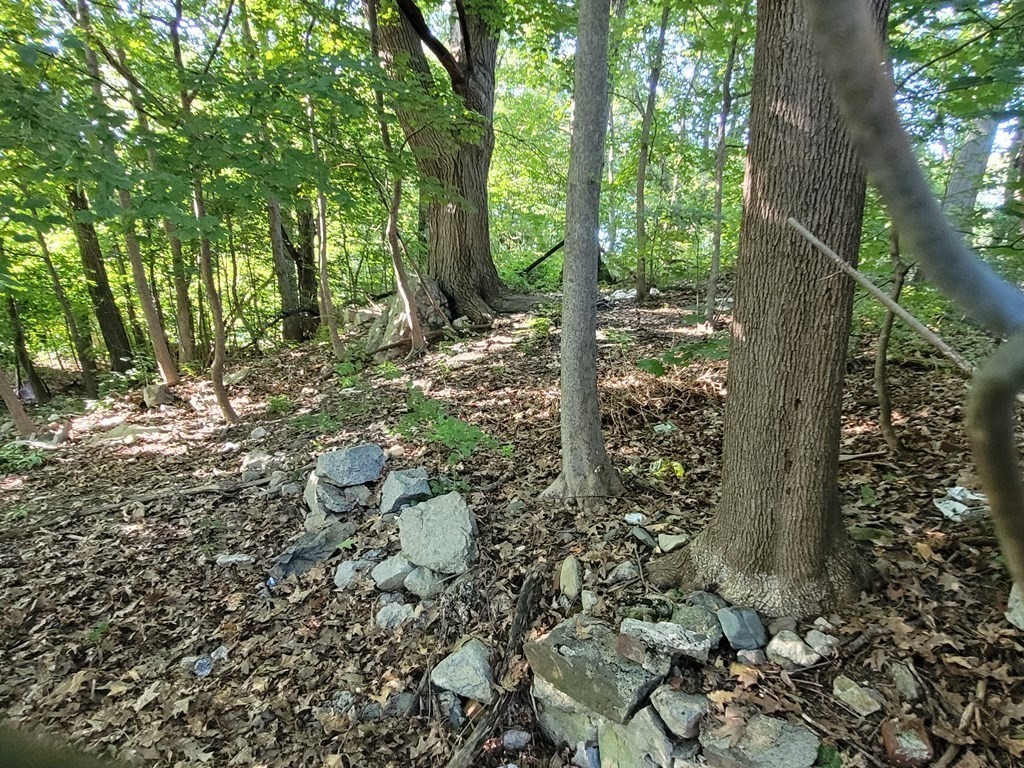 mattapan - #73158853