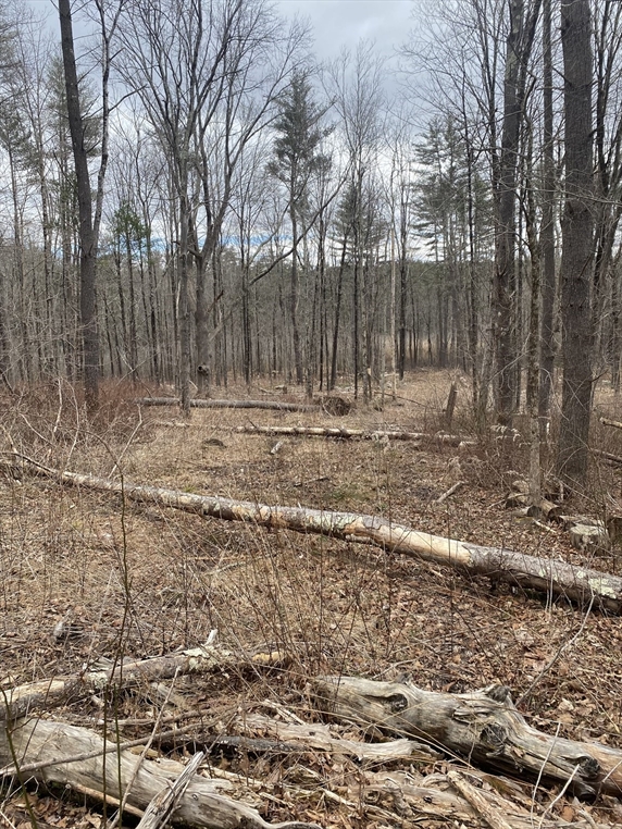 Lot 80.1 Brentwood Rd, Southbridge, MA Image 2