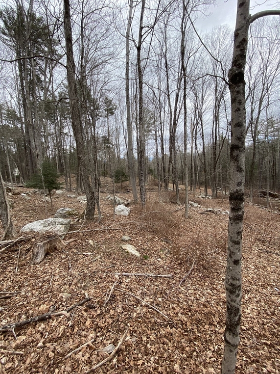 Lot 80.1 Brentwood Rd, Southbridge, MA Image 7