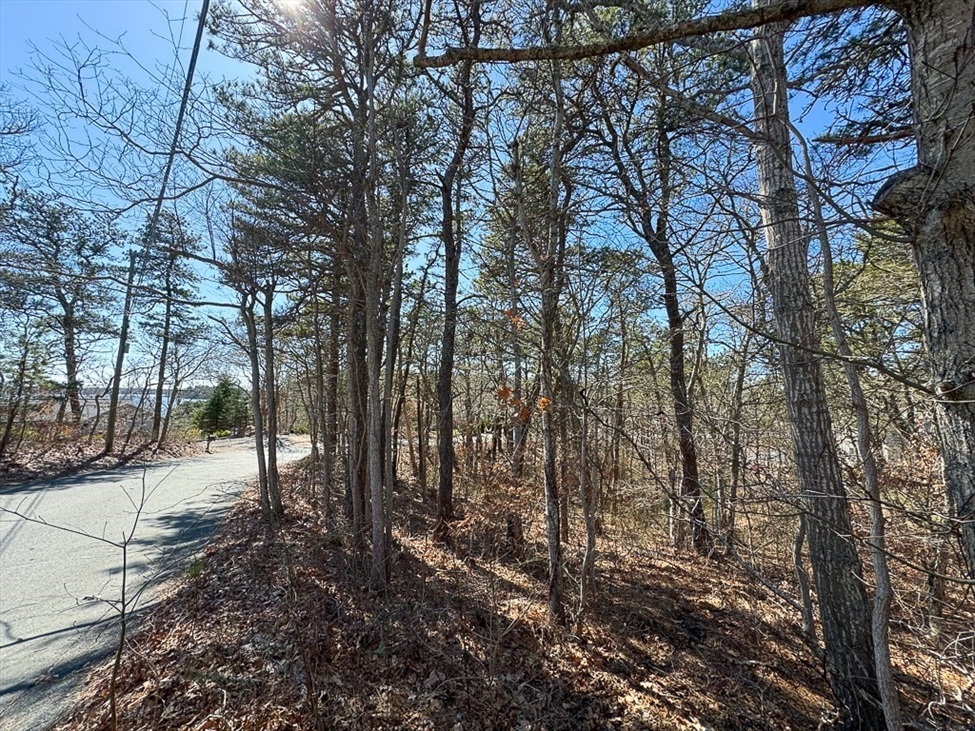 0 Tanglewood Rd, Brewster, MA Image 7