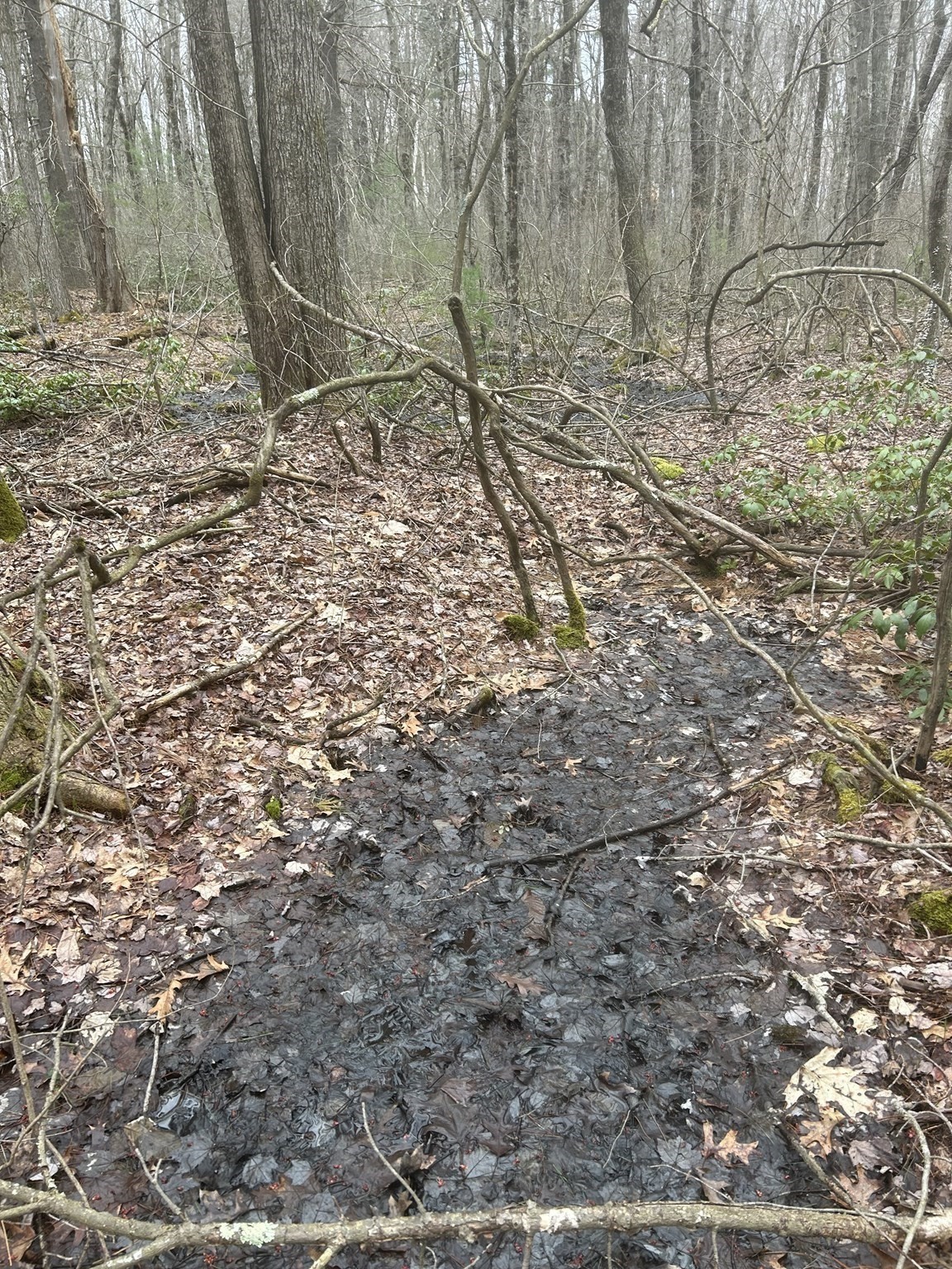 0 Main Street, Leicester, MA 01524 - Image 12