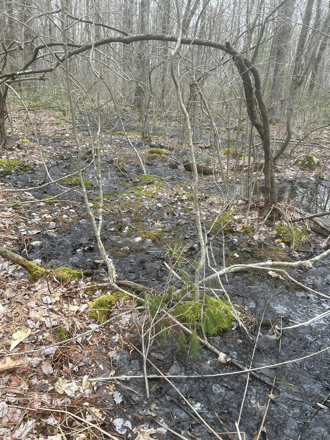 0 Main Street, Leicester, MA 01524 - Image 13