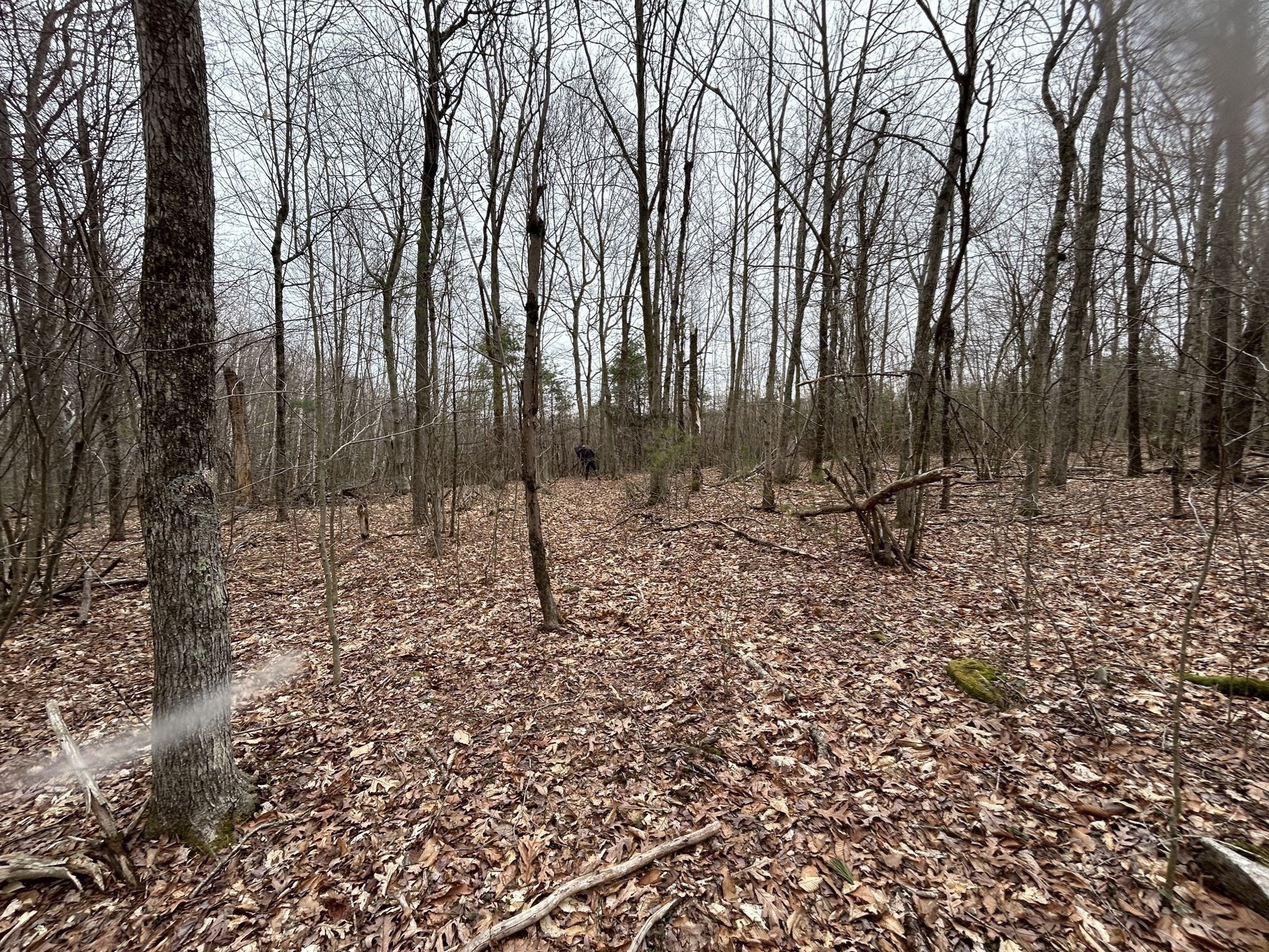 0 Main Street, Leicester, MA 01524 - Image 14