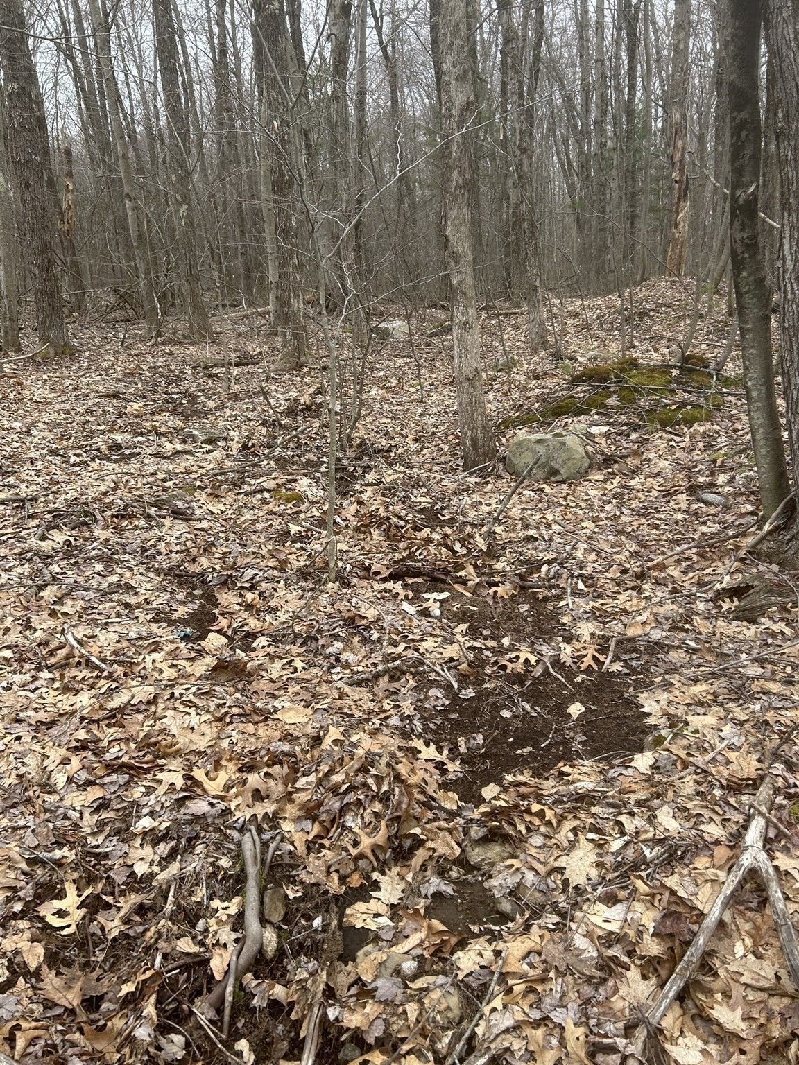 0 Main Street, Leicester, MA 01524 - Image 15