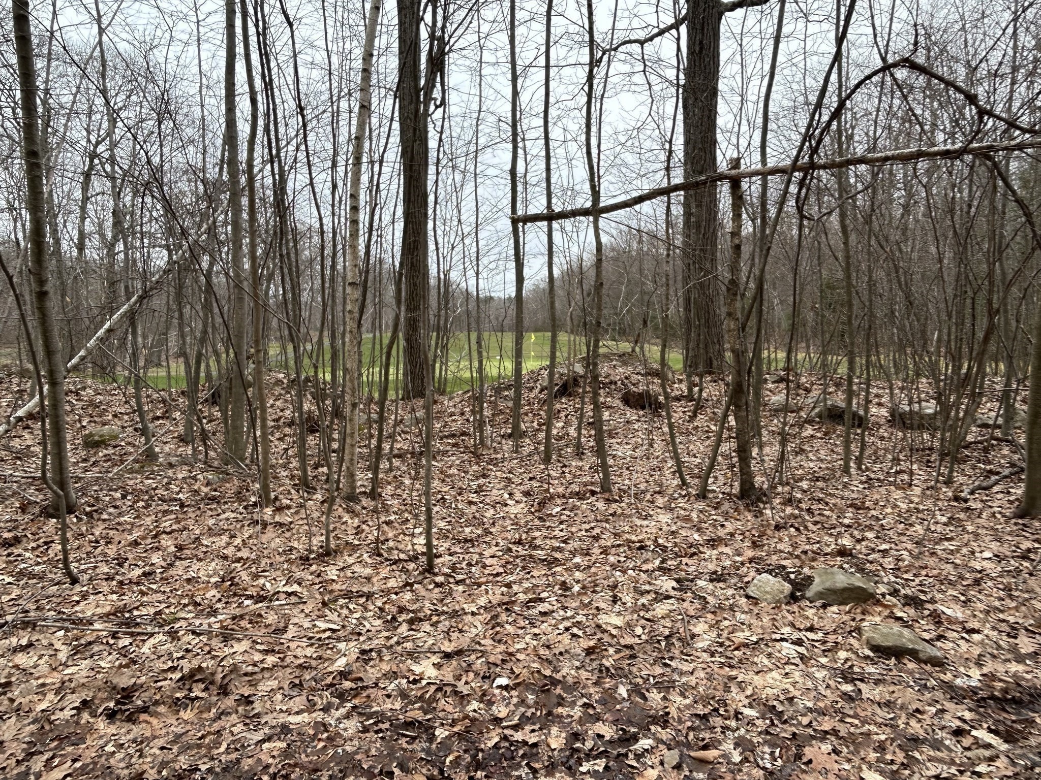 0 Main Street, Leicester, MA 01524 - Image 16