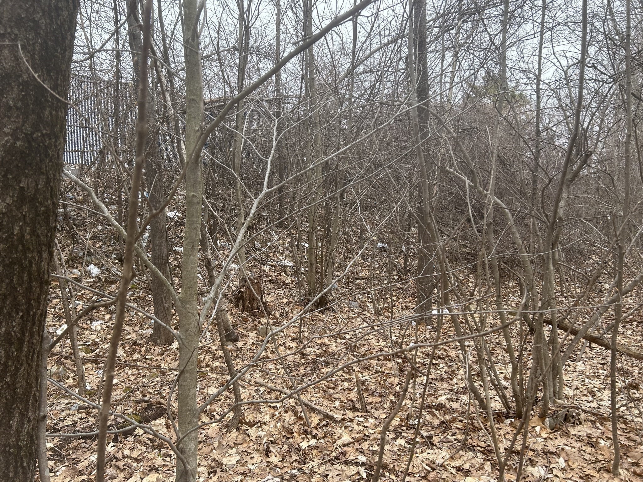 0 Main Street, Leicester, MA 01524 - Image 17