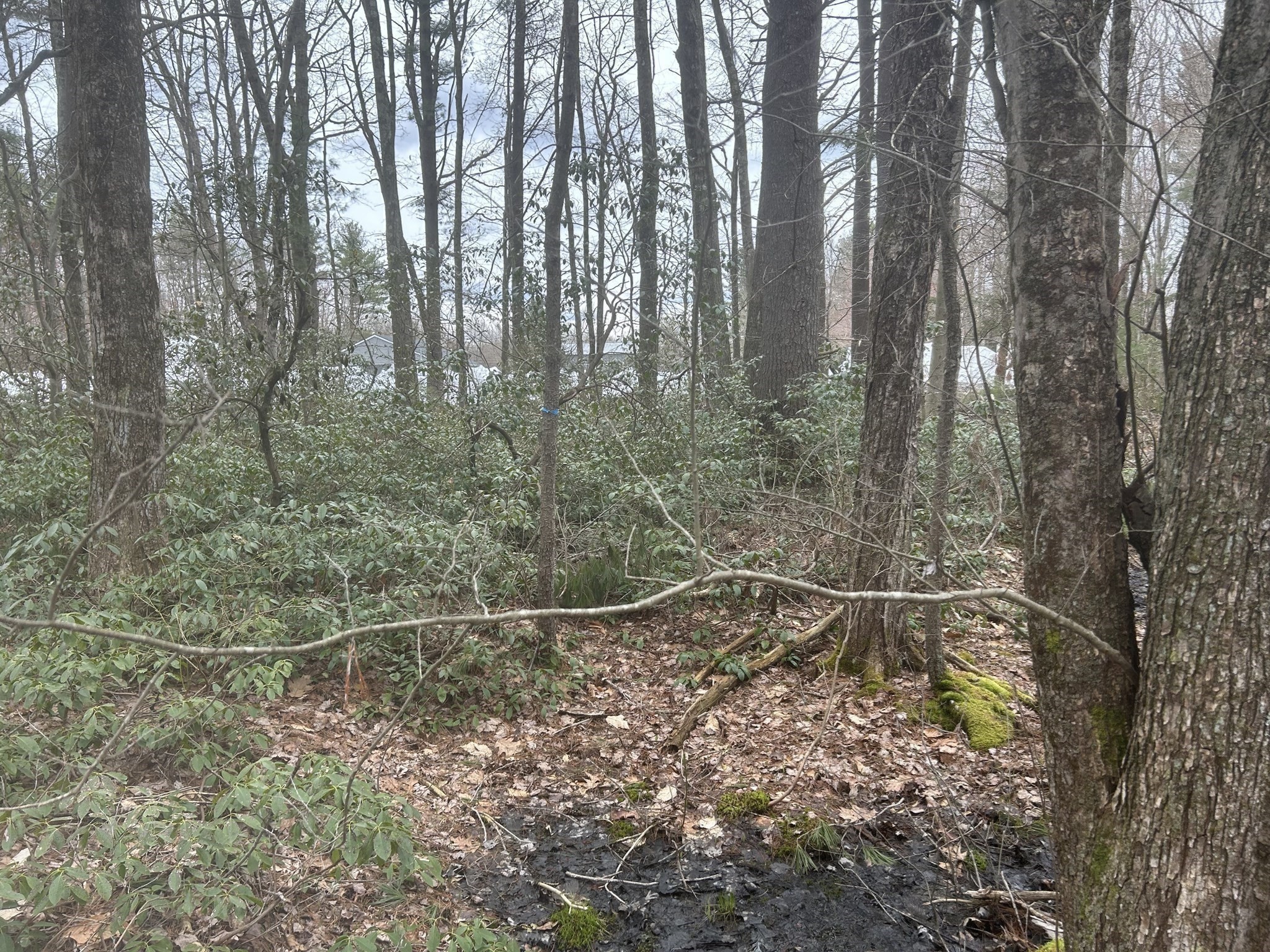 0 Main Street, Leicester, MA 01524 - Image 7