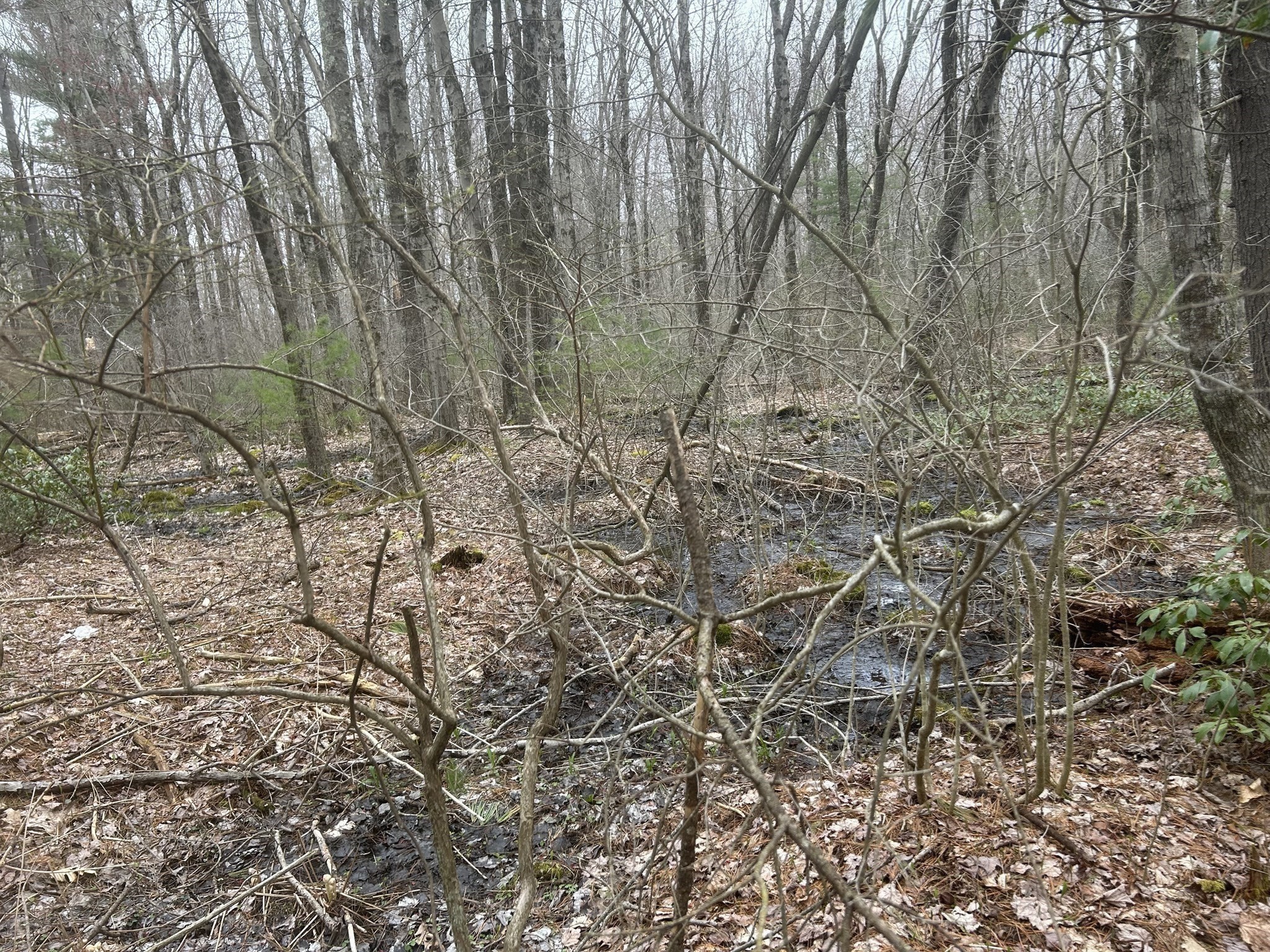 0 Main Street, Leicester, MA 01524 - Image 8