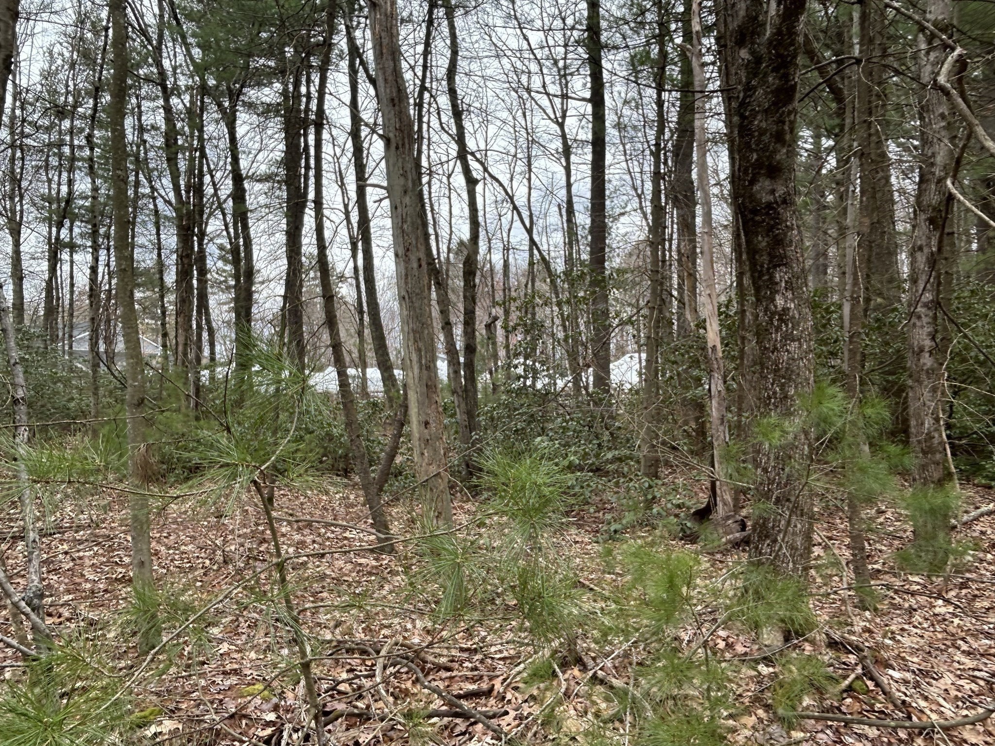 0 Main Street, Leicester, MA 01524 - Image 9