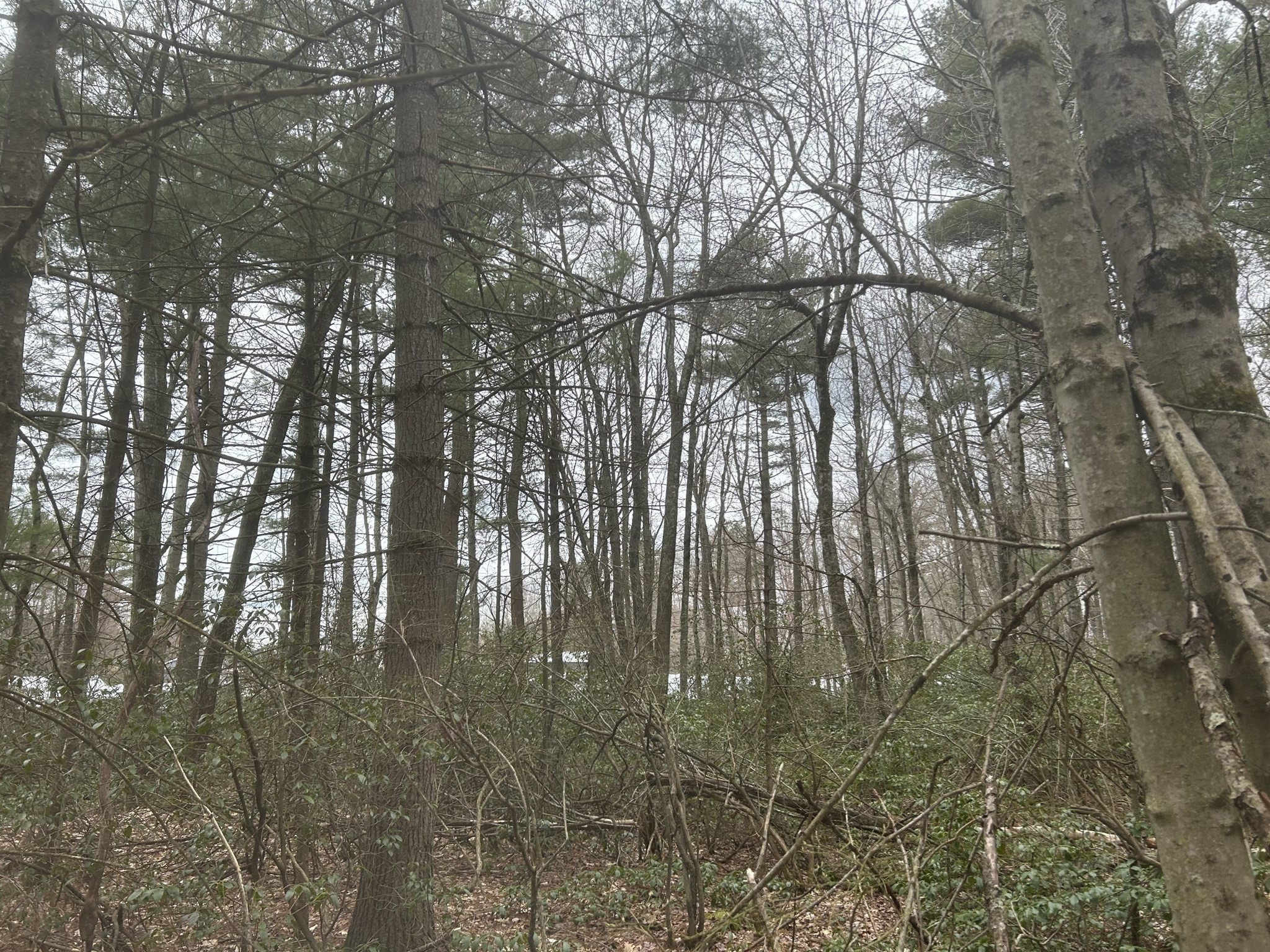 0 Main Street, Leicester, MA 01524 - Image 10