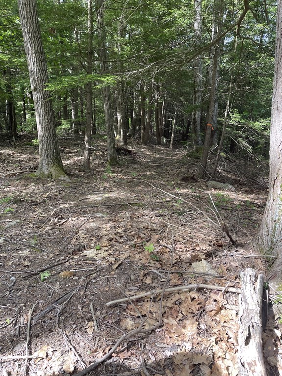 0 Rindge Tpke, Ashburnham, MA 01430 - Image 2