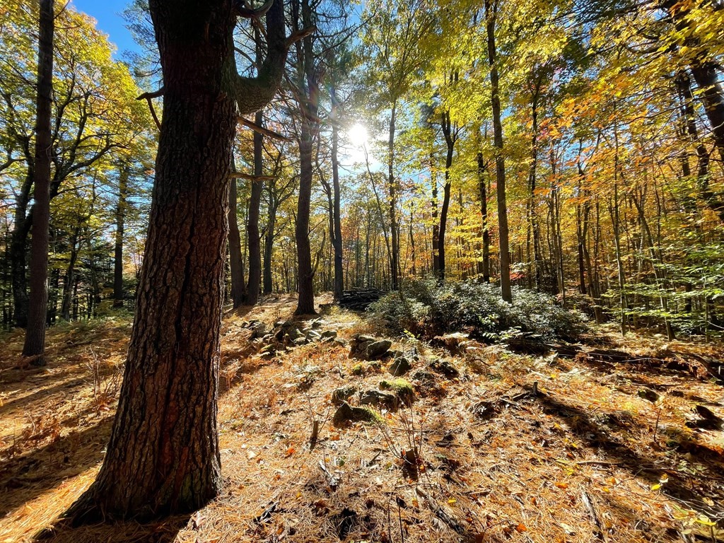 0 Rindge Tpke, Ashburnham, MA 01430 - Image 12