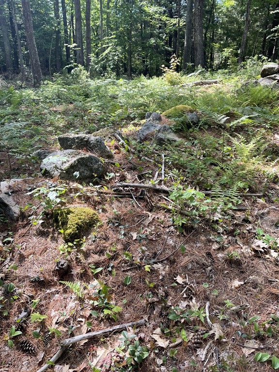 0 Rindge Tpke, Ashburnham, MA 01430 - Image 4