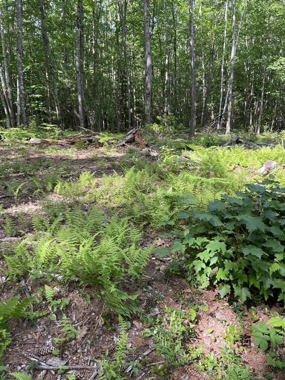 0 Rindge Tpke, Ashburnham, MA 01430 - Image 5