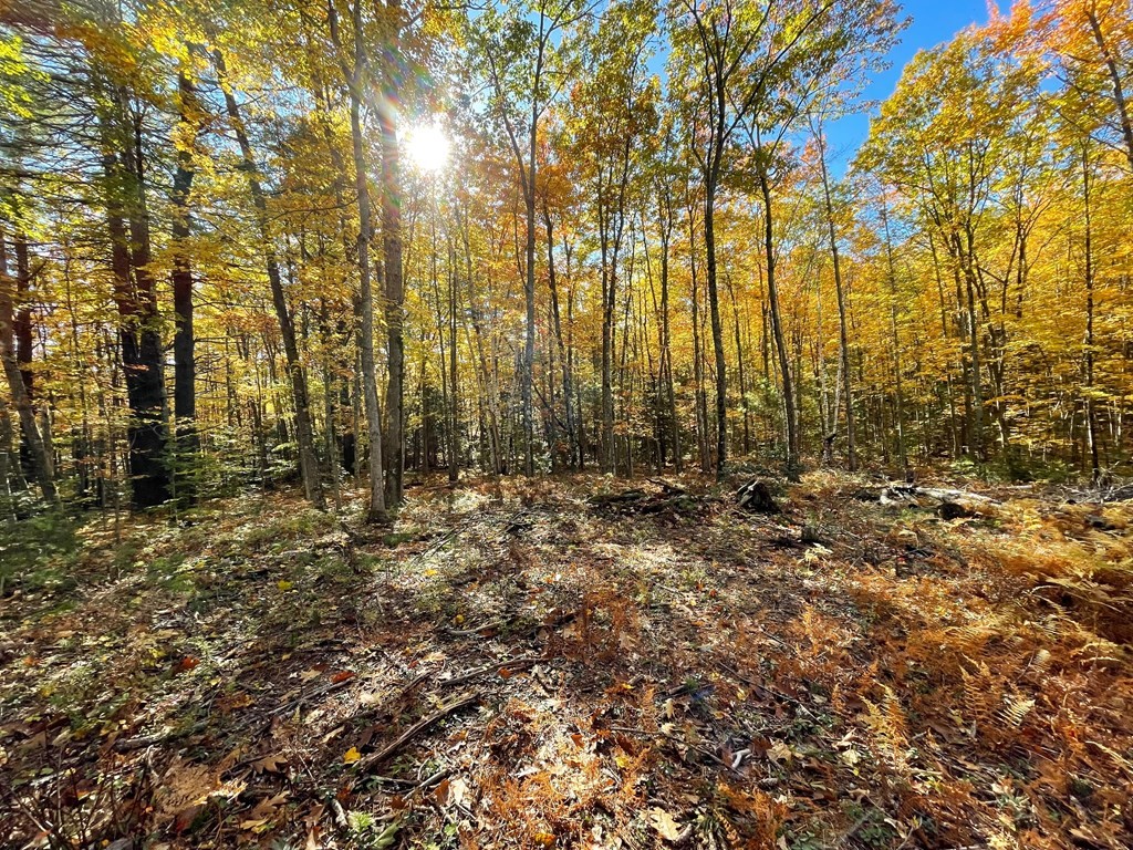 0 Rindge Tpke, Ashburnham, MA 01430 - Image 8