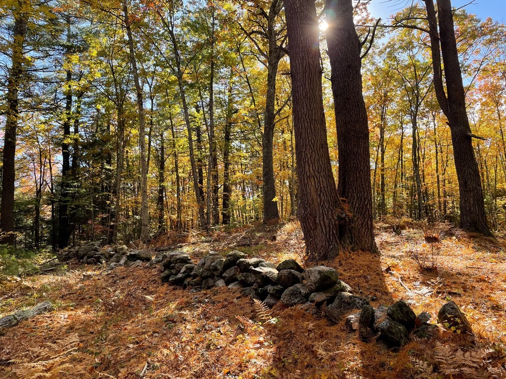 0 Rindge Tpke, Ashburnham, MA 01430 - Image 9