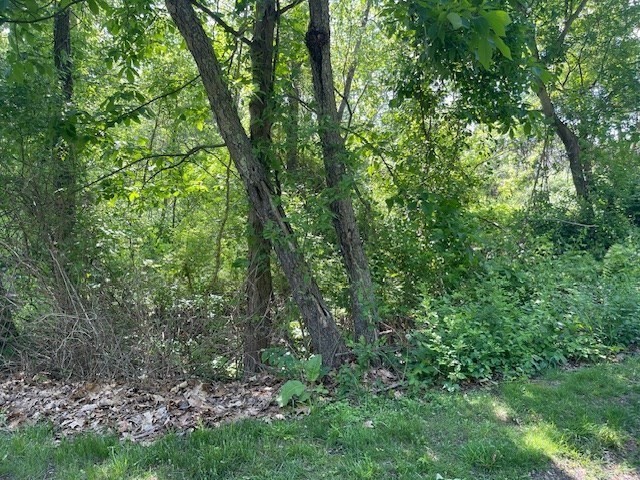 77 Oneil Rd, Warren, MA 01083 - Image 6