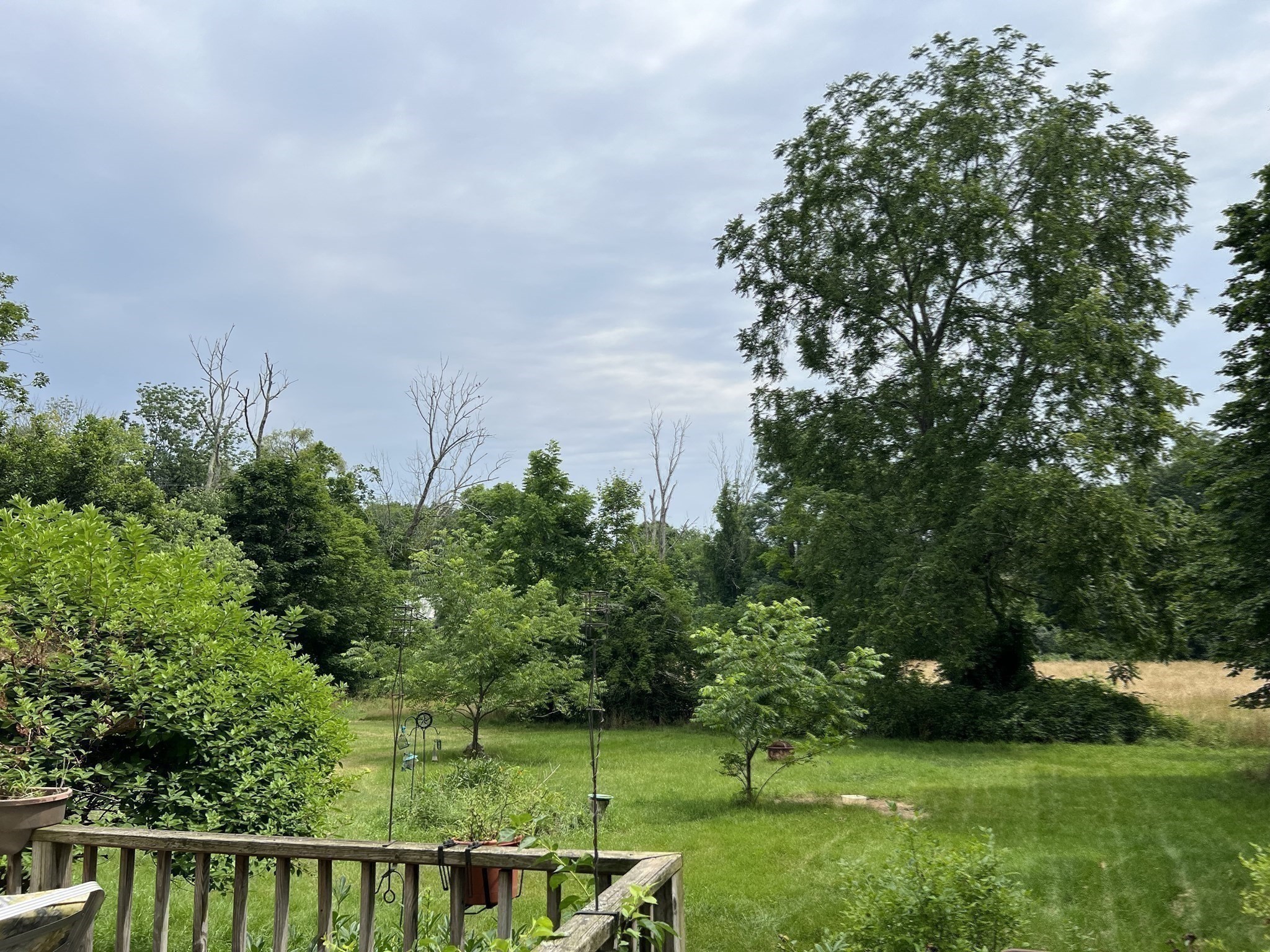millis - #73261836