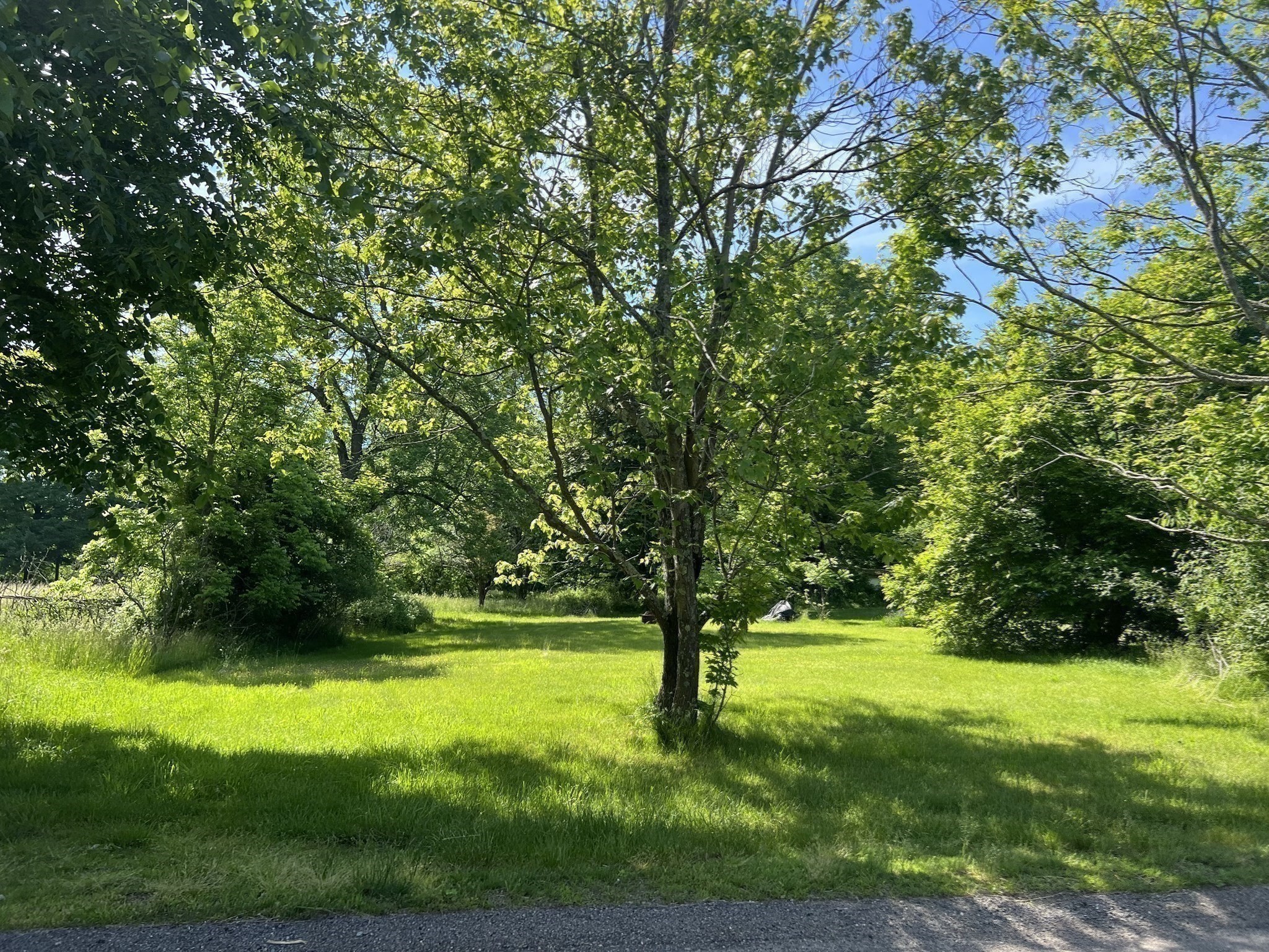 millis - #73261836