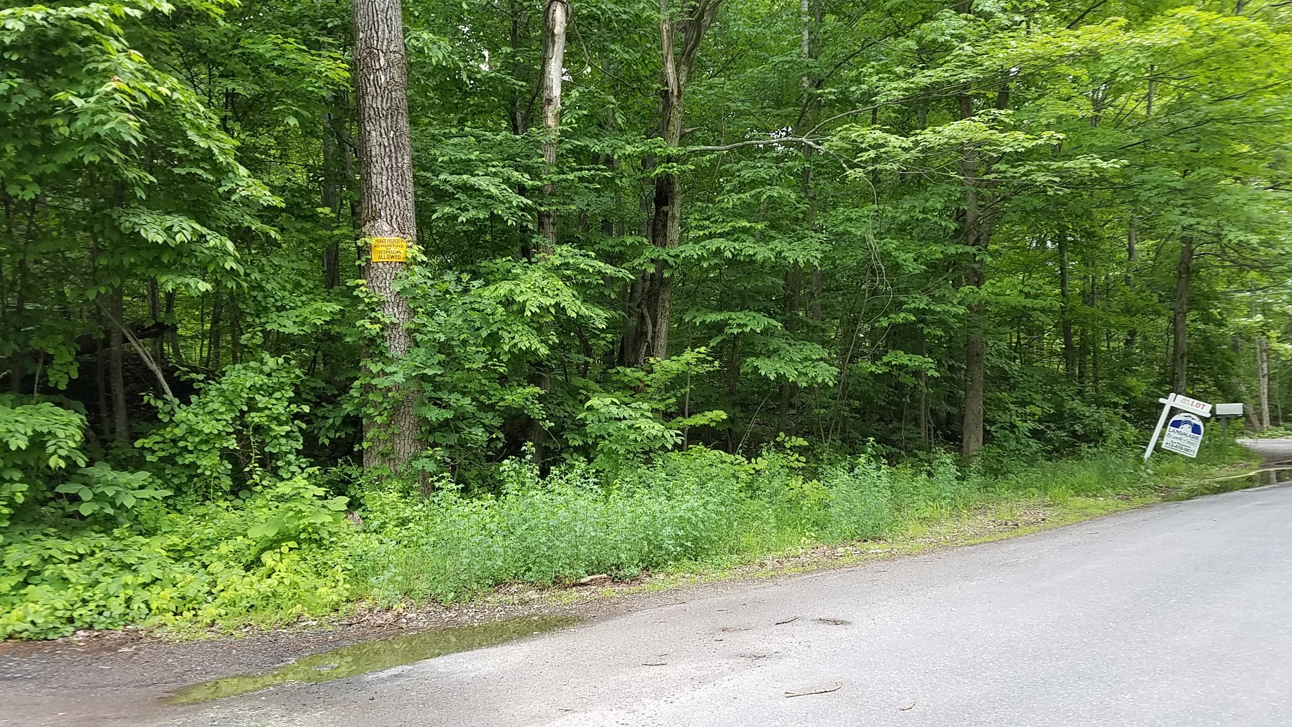 0 Mountain Rd, Hampden, MA 01036 - Image 2