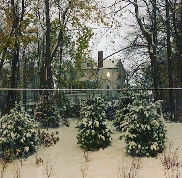 99 Tremont At Oak Square Unit 415, Downtown, Boston, MA 02135 - Image 27