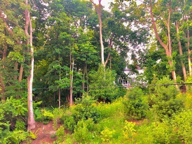 99 Tremont At Oak Square Unit 415, Downtown, Boston, MA 02135 - Image 28