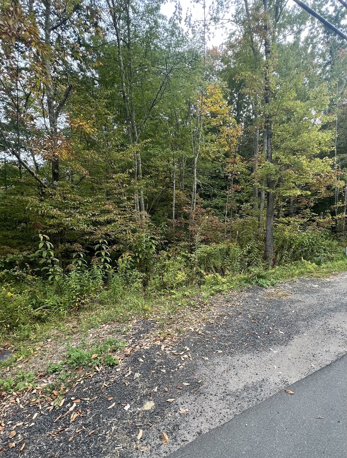 0 Allen Rd, Belchertown, MA 01007 - Image 6