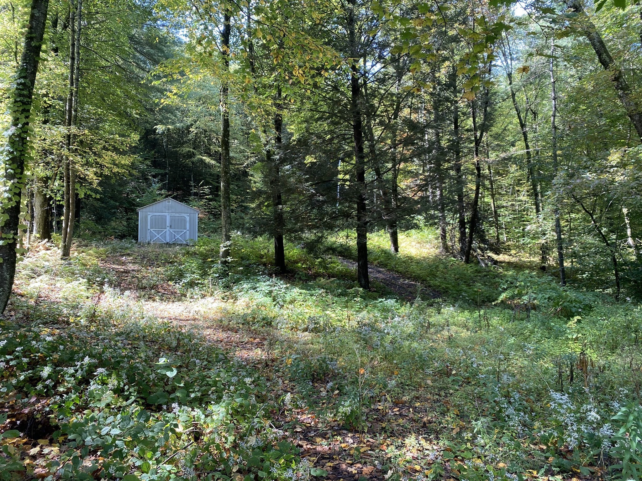  Federal St, Belchertown, MA 01007 - Image 6
