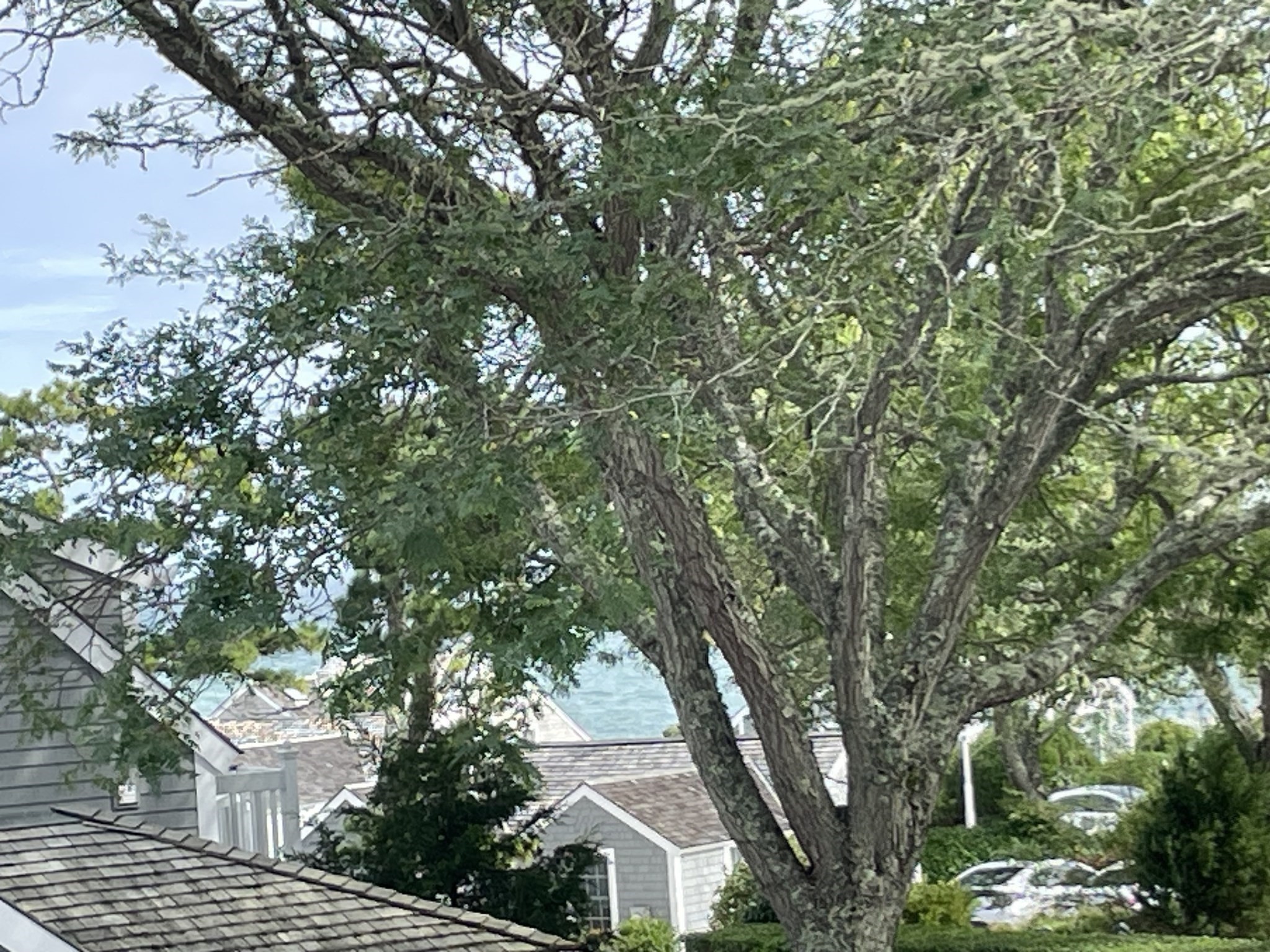 4 Colemans Way Unit 702, Mashpee, MA 02649 - Image 18