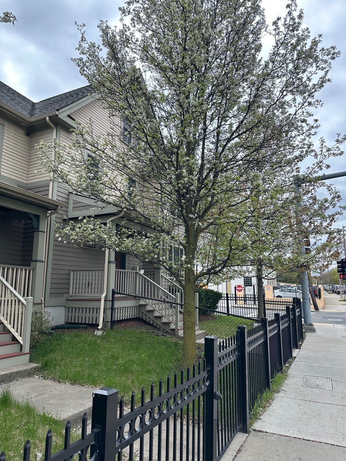 2856 Washington Street, Roxbury, Boston, MA 02119