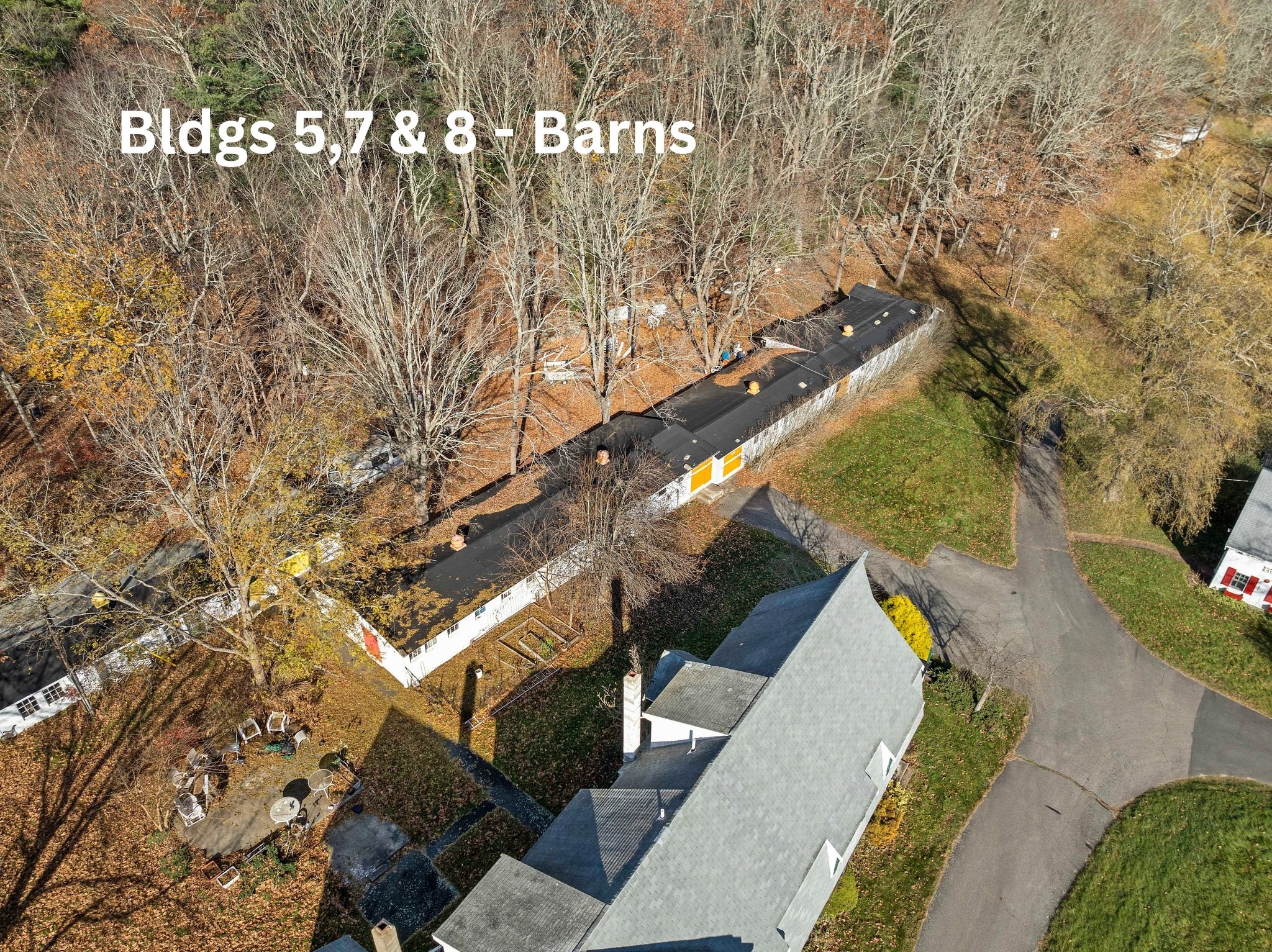 pembroke - #73313782