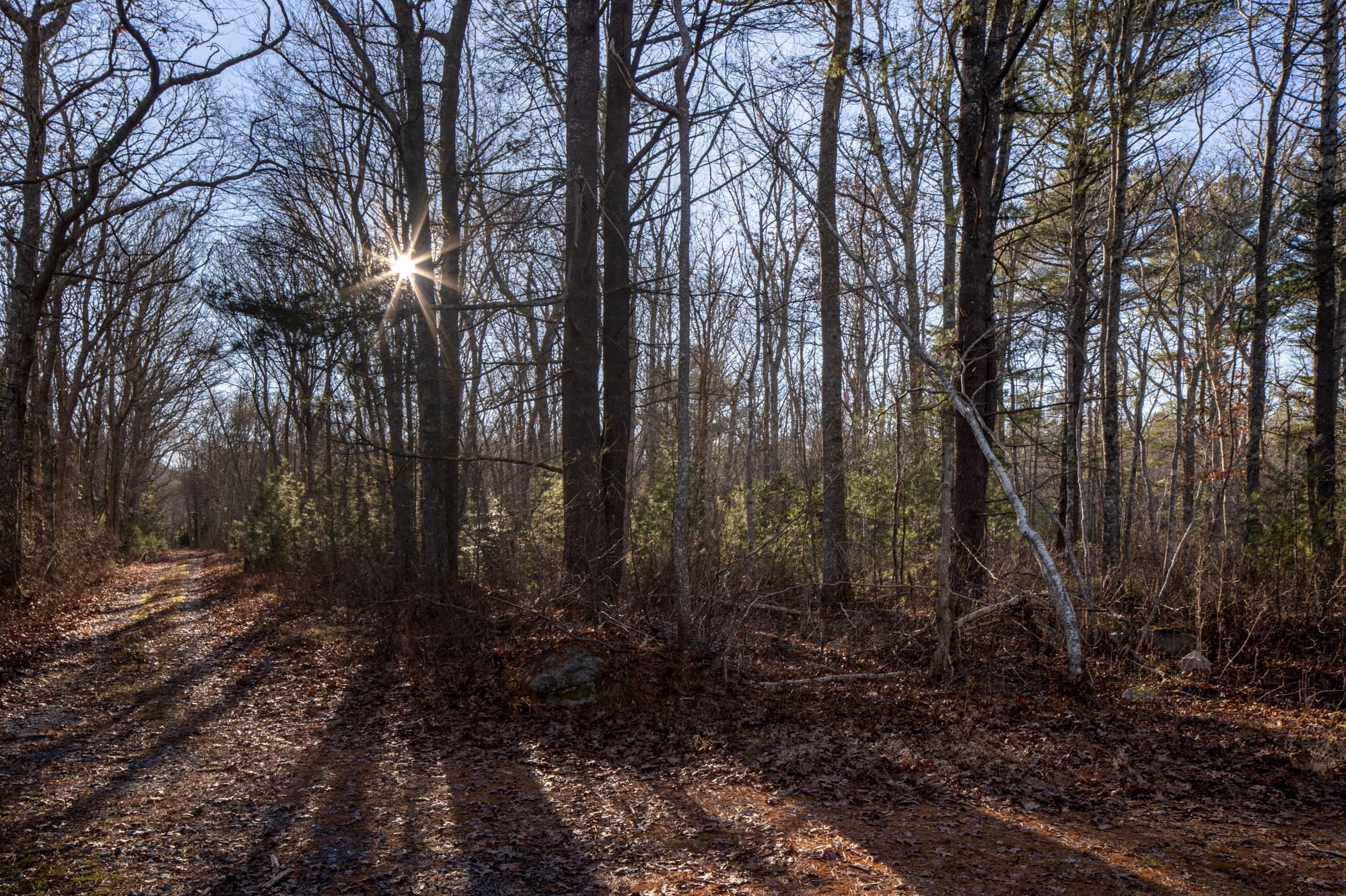 mattapoisett - #73313815