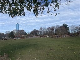 1789 Broadway, Raynham, MA 02767 - Image 11