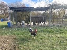 1789 Broadway, Raynham, MA 02767 - Image 12