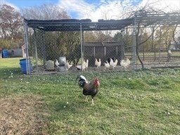 1789 Broadway, Raynham, MA 02767 - Image 18