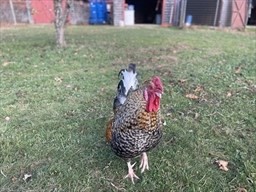 1789 Broadway, Raynham, MA 02767 - Image 6