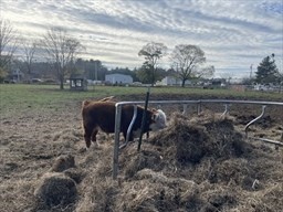 1789 Broadway, Raynham, MA 02767 - Image 7