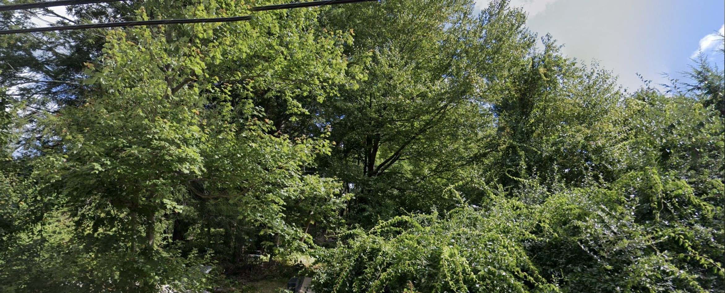 paxton - #73315189