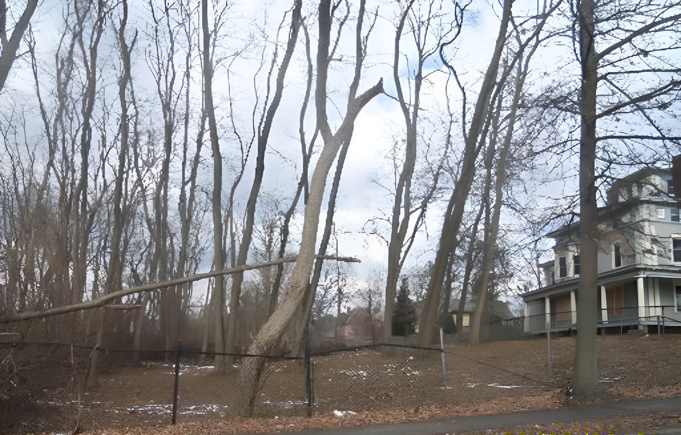 3 N S Worthington St, Springfield, MA 01109 - Image 1