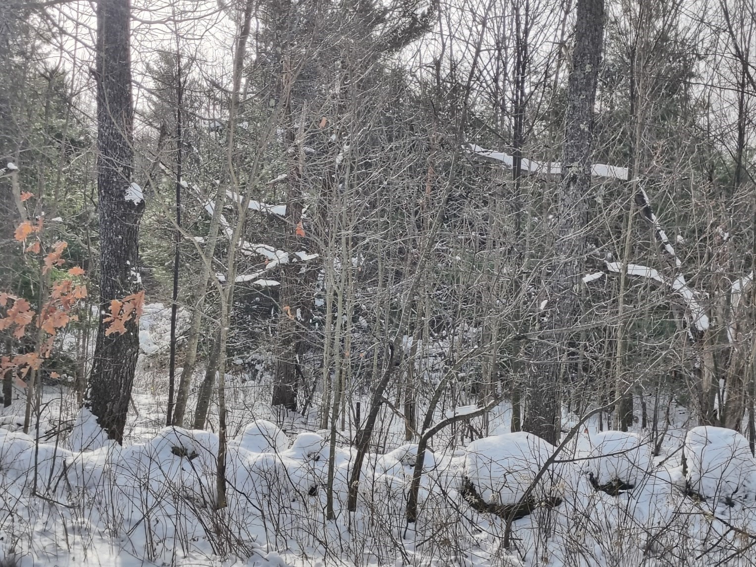 3 Skyline, Chester, MA 01011