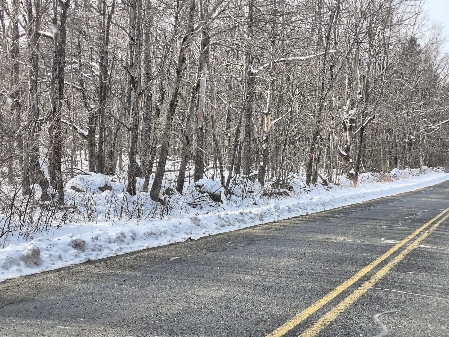 3 Skyline, Chester, MA 01011 - Image 2