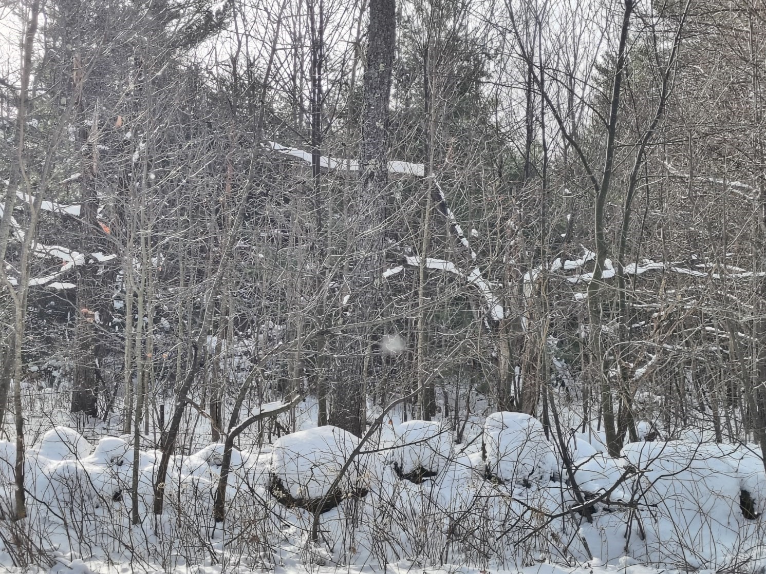 3 Skyline, Chester, MA 01011 - Image 4