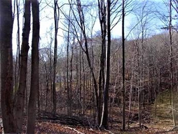 wilbraham - #73318963