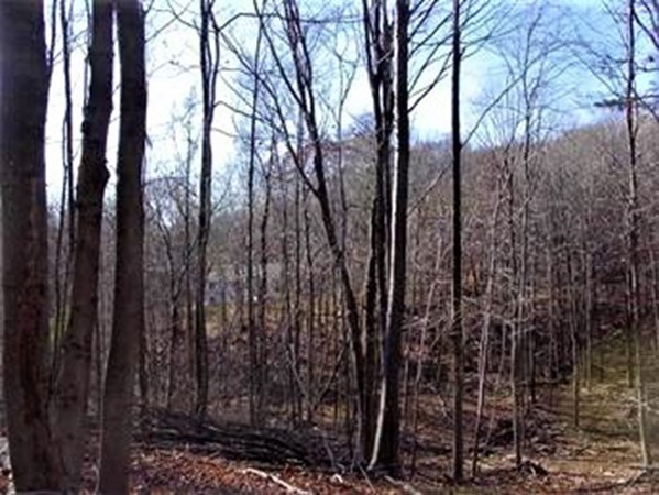 wilbraham - #73318965