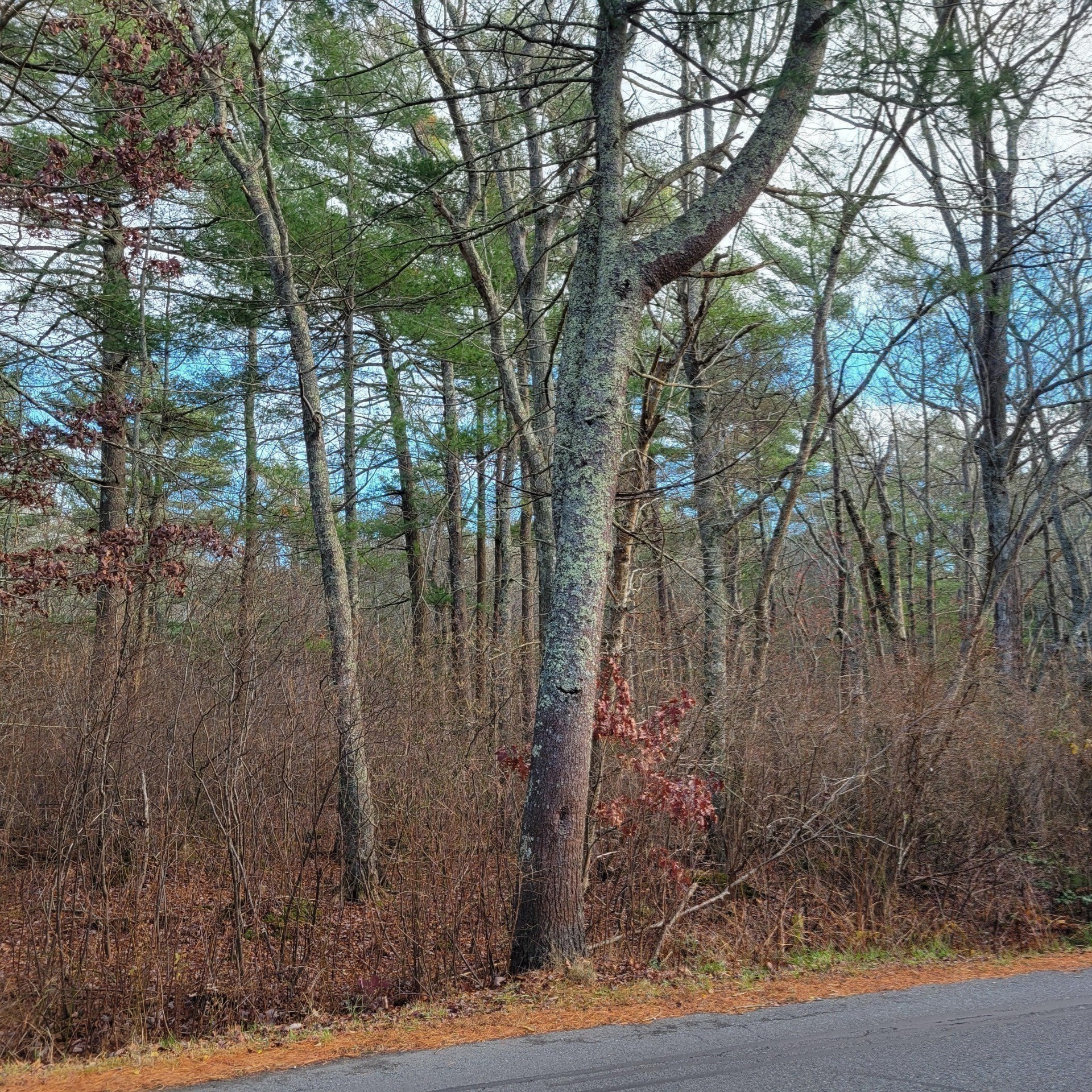 mattapoisett - #73319868