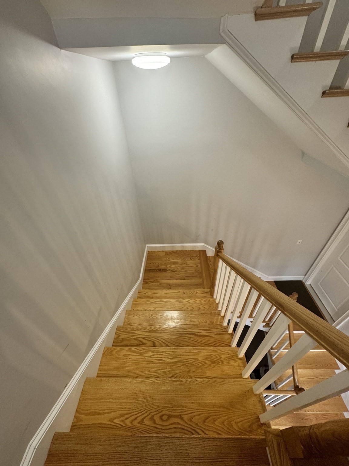 dorchester - #73320164