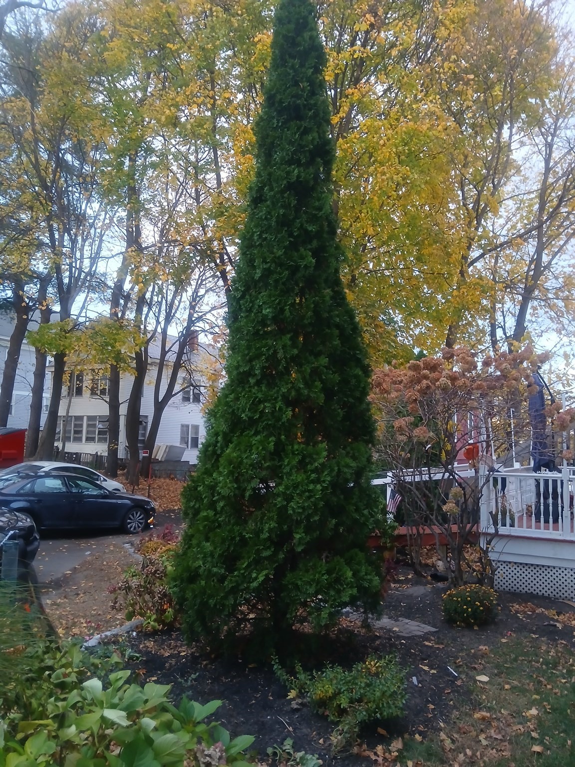 156 Summer St, Fitchburg, MA 01420 - Image 17