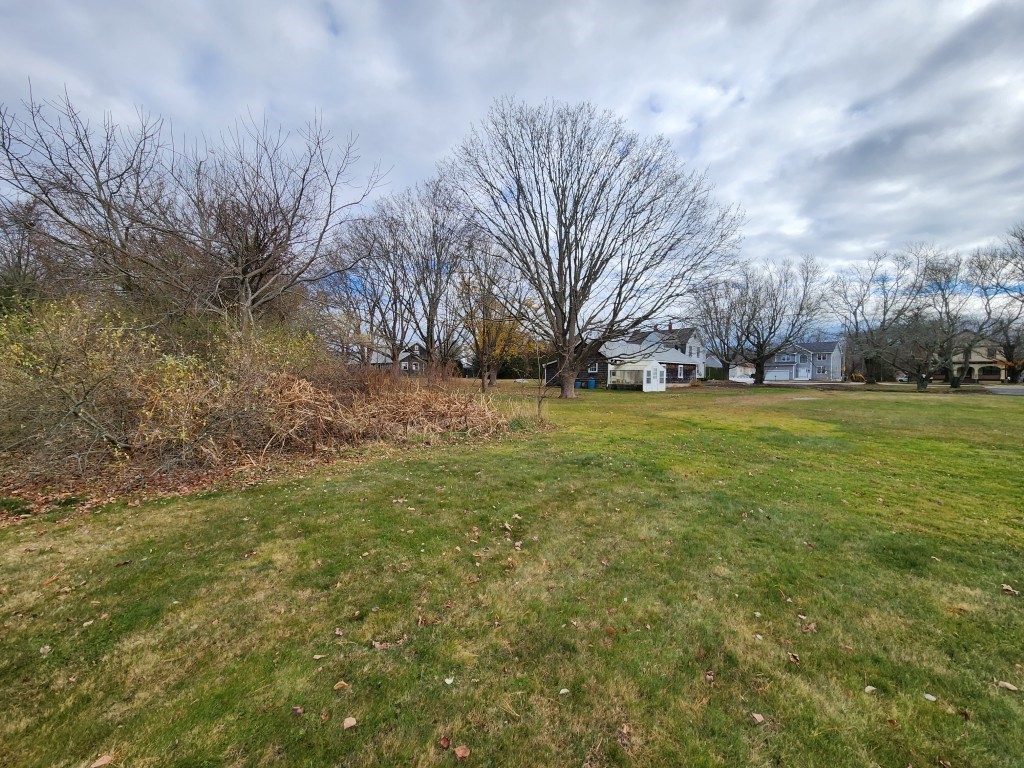 new-bedford - #73321917