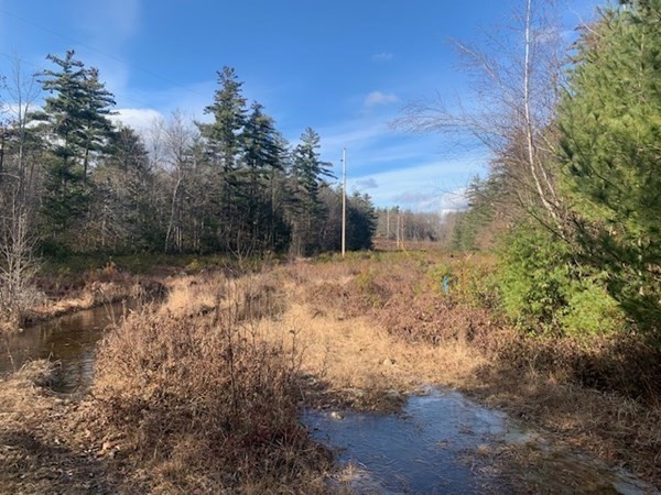 691 Chase Rd, Lunenburg, MA 01462 - Image 31