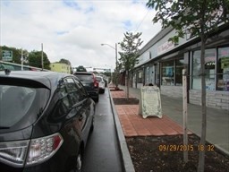 386 Trapelo Road, Belmont, MA 02478 - Image 1